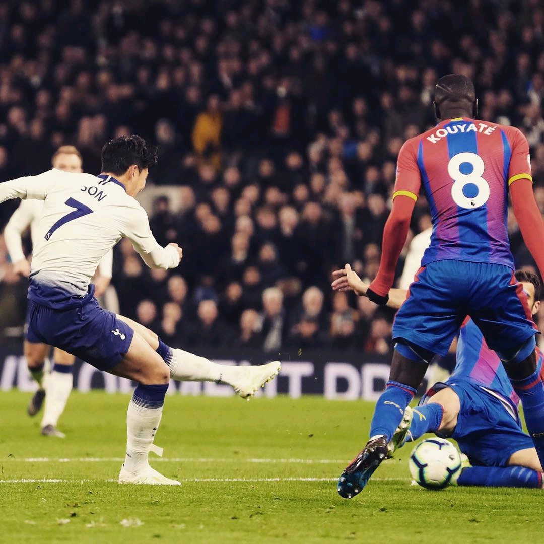 他的表现将 他的表现将